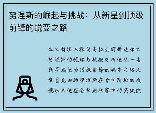 努涅斯的崛起与挑战：从新星到顶级前锋的蜕变之路